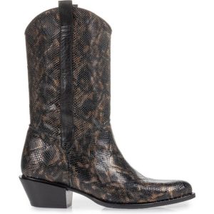 Floris van Bommel 85669