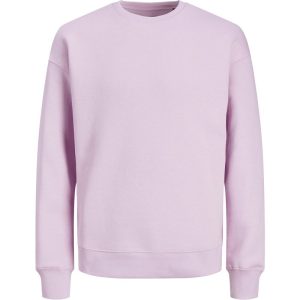 Jack & Jones Jjestar basic sweat crew neck