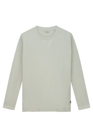 Dstrezzed Austin Tee 203008 Longsleeves 107 Silver Birch