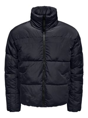 Donsjack Only & Sons Everett