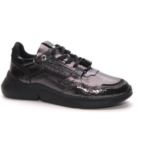 Floris van Bommel 85291