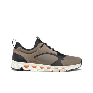 Schoenen Geox Spherica Ecub-4 A