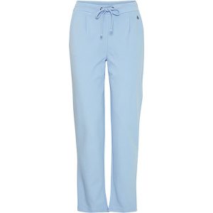 Fransa Broek 20605622 hydrangea