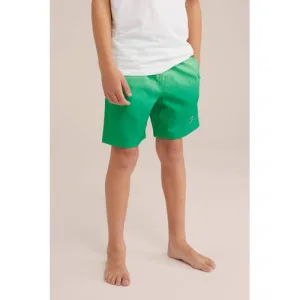 WE Fashion Zwemshort groen
