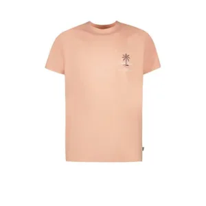 Cars T-shirt zalm