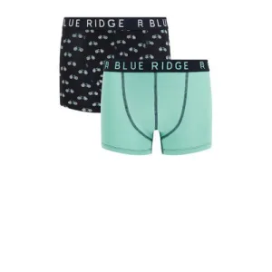 WE Fashion Blue Ridge boxershort – set van 2 zwart/groen