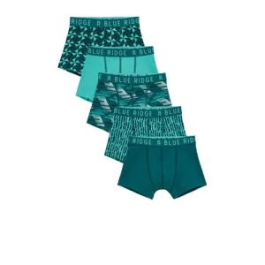 WE Fashion Blue Ridge boxershort – set van 5 petrol groen
