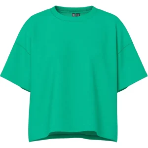 Pieces Dames t-shirt pcchilli sweatshirt ronde hals effen