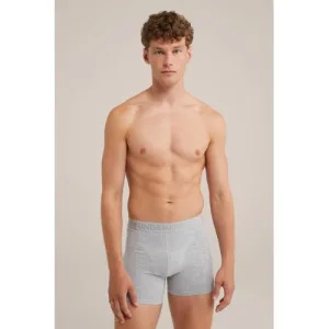 WE Fundamentals boxershort grijs