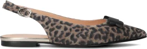 Floris van Bommel Slingbacks
Dames Sfw-40050,