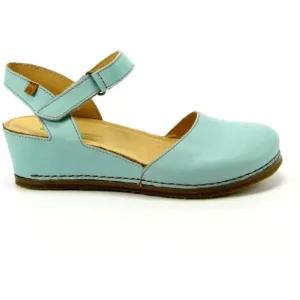 El Naturalista N5850