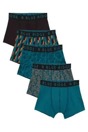 WE Fashion Blue Ridge boxershort – set van 5 blauwgroen/zwart/oranje