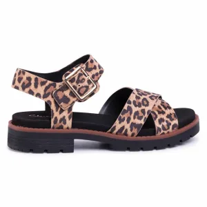 Clarks Orinoco Strap Dames Bruine Sandalen