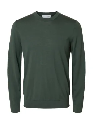 Selected Homme Trui Ray gebreid Crew Neck Groen heren