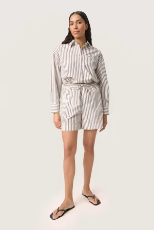 Short Regular fit Brown and White Stripe