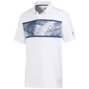 Puma Golf DryCell Performance Fit Palms Polo Korte Mouw Heren Top 596376 01