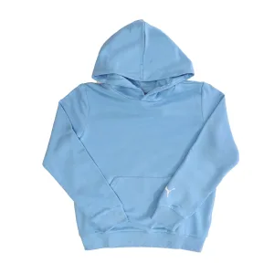 Puma Juniors Fanwear Hoodie voor jongens in Blauw