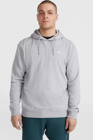 O’Neill hoodie grijs