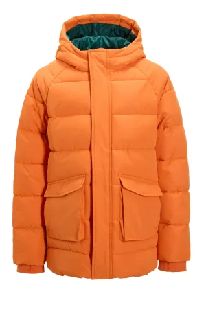 anytime gewatteerde jas