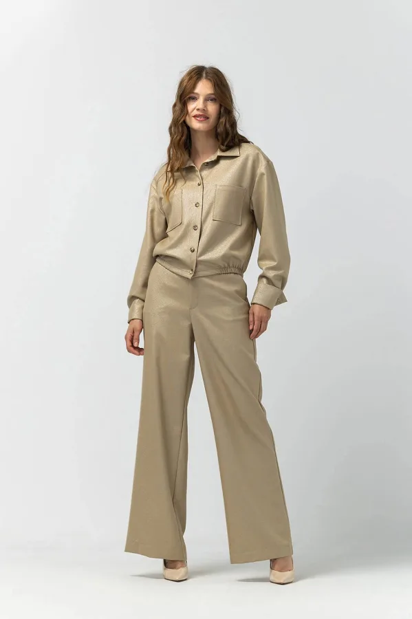 LabeL DOT wide leg regular waist broek goud met glitter