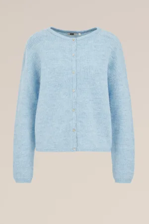 WE Fashion – Dames gebreid vest van wolmix – Regular fit – IJsblauw –