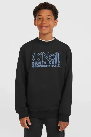 O’Neill sweater zwart