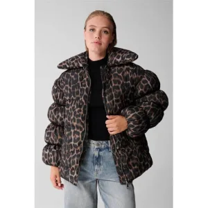 Shoeby gewatteerde jas bruin