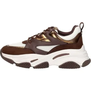 Steve Madden – Jprogressive