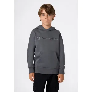 Champion Hoodie (1-delig)