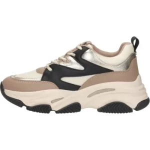 Steve Madden – Jprogressive