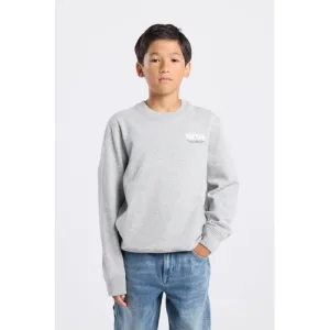 America Today sweater met backprint grijs