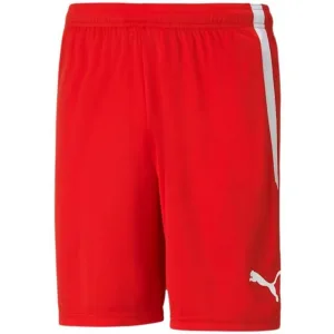 Puma Heren teamliga shorts