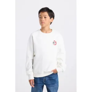 America Today sweater met backprint wit