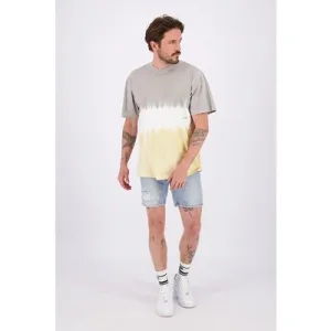 RAIZZED Hague T-shirt Grey Fog