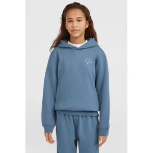 O’Neill sweater grijsblauw