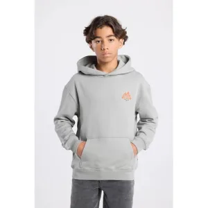 America Today hoodie met backprint grijs