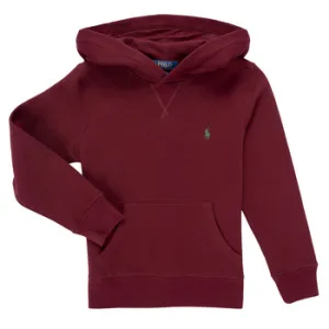 Sweater Polo Ralph Lauren LS PO HOOD”