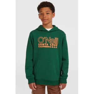 O’Neill hoodie donkergroen