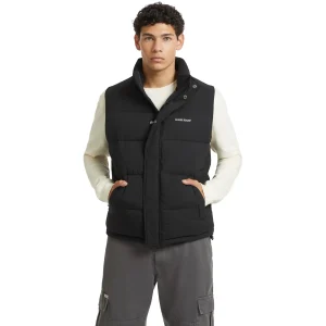 Mouwloos donsjack Guess Reg Lenght