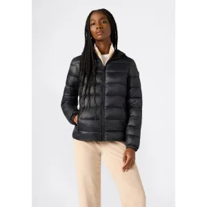 Champion Gewatteerde jas Light Outdoor Polyfilled Hooded Jacket (1 stuk)