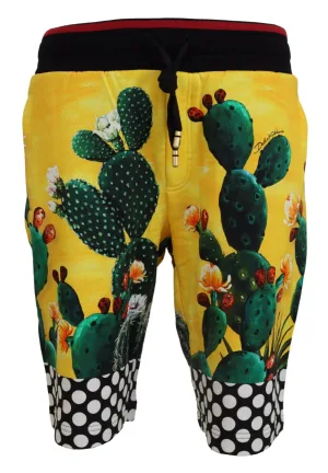 Dolce & Gabbana Multicolor Cactusprint Katoenen Sweat Korte Broek Voor Mannen