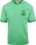 Scotch & Soda T-Shirt Logo Groen