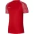 Nike Heren academy dri-fit jersey