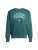 ADIDAS SPORTSWEAR Sportsweatshirt ‘COLLEGIATE’  turquoise / groen