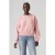 Levi’s Graphic Vintage Boxy Sweatshirt