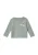 s.Oliver Shirt  pastelgroen / gemengde kleuren
