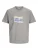 JACK & JONES Shirt ‘JCOSAGO PHOTO SLUB TEE’  grijs