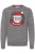 11 Project Trui  beige / lichtgrijs / groen / rood / wit