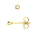 Diamanten oorknopjes 0040 Cts Yellow Gold