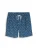 TOM TAILOR DENIM Zwemshorts  saffier / wit